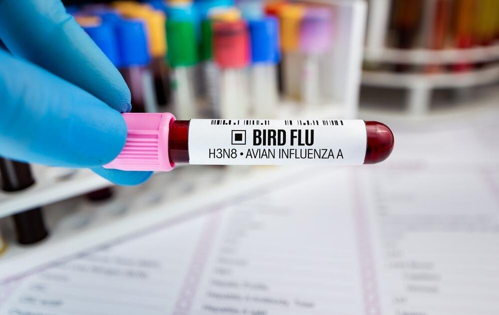 The CDC Has a New Map of Where Bird Flu is Spreading What to Know (article)