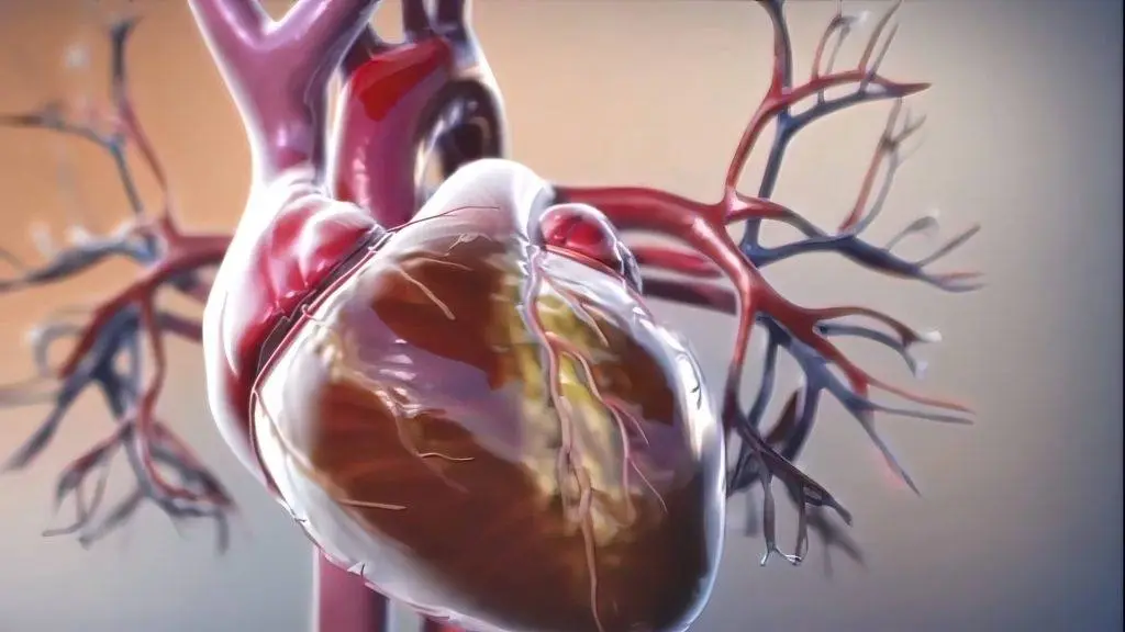 Things Everyone Needs to Know About Heart Disease