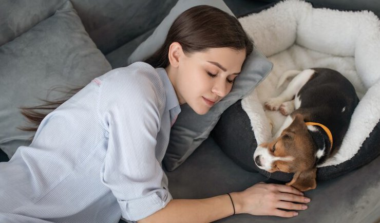 How Pets Positively Influence Mental Health 2024